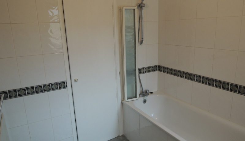 11-north-mount-bathroom