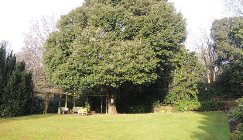 ludgrove-communal-2