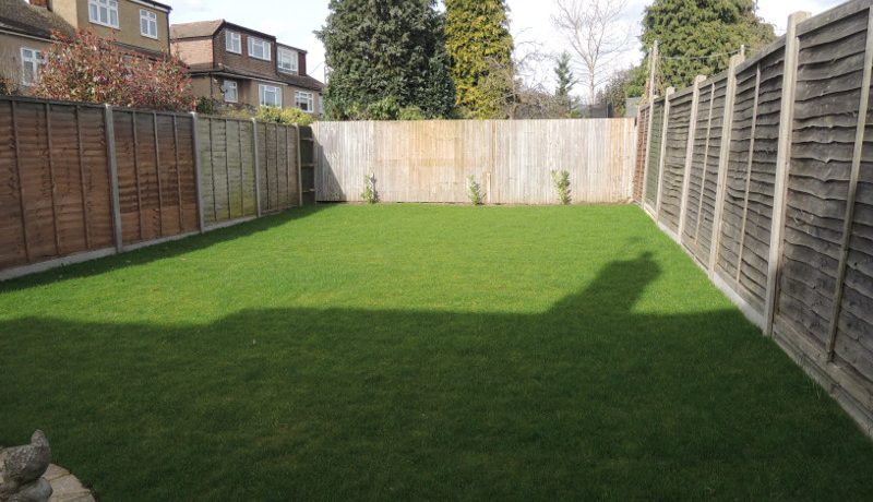 157 Cat Hill garden 2