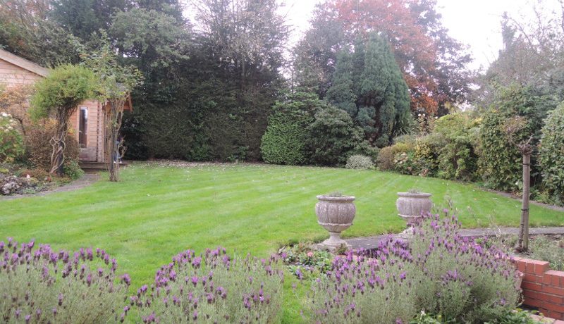 12b lancaster rear garden (1)