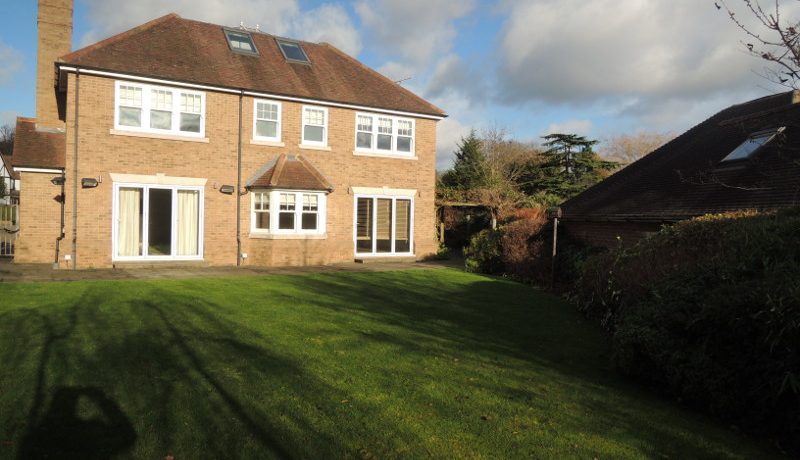 20 parkgate rear of property